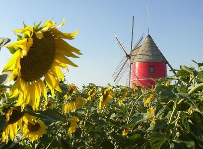 Moulin Nailloux.jpg